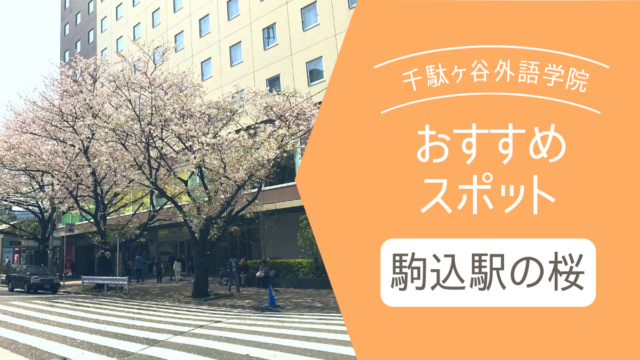 駒込駅の桜